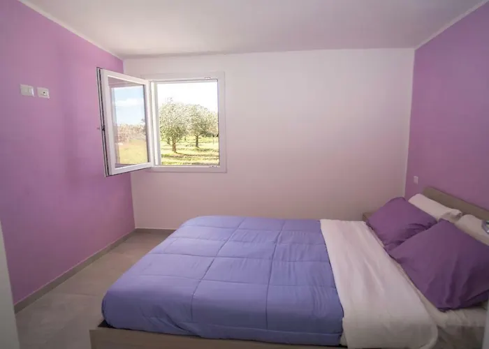 Residenza Figuruja Альгеро